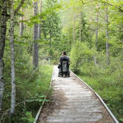 This is a photo of a wheelchair user driving in nature